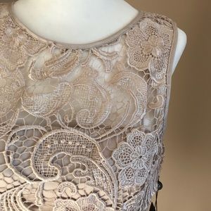 Nordstrom | Lace Dress | Champagne